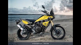 Yamaha Tenere 700 Custom Photoshop Designs Photo Only [upl. by Recor]