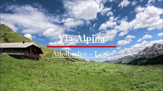 Hiking the Via Alpina 15 Adelboden  Lenk Switzerland 4k [upl. by Ativet]