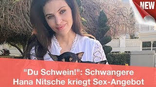 quotDu Schweinquot Schwangere Hana Nitsche kriegt SexAngebot  CELEBRITIES und GOSSIP [upl. by Creigh415]