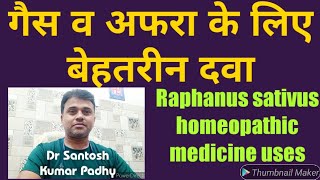 Raphanus sativus homeopathic medicine uses In Gastric Problems [upl. by Irahcaz]