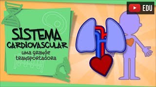 Sistema Cardiovascular  a parceria entre pulmões e coração [upl. by Brace]