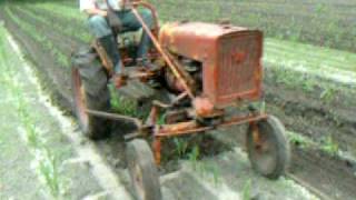 Farmall Cub Tractor Cultivating Corn  Smoaks SC [upl. by Snapp163]