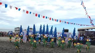 Pawikan Festival 2018 Provincial Level MARIVELES BATAAN [upl. by Aitnahs]