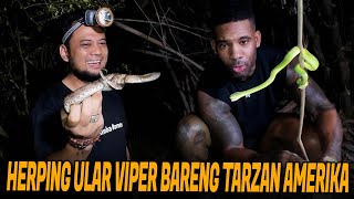 PANJI AJAK TARZAN AMERIKA CARI ULAR KE HUTAN DAPET BANYAK VIPER‼️ [upl. by Enileqcaj]