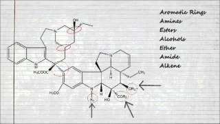 Concepts Vincristine [upl. by Notnerb498]