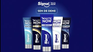 Signal White Now 💙 [upl. by Lavotsirc]