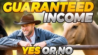 Guaranteed Income Yes Or No [upl. by Angi]