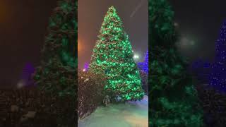 Christmas Lights Snowfall ottawa snowfall walking parade [upl. by Sharai965]