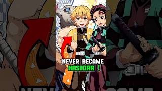 Why Tanjiro Inosuke And Zenitsu Never Became Hashira  demonslayer hindi [upl. by Anaile]