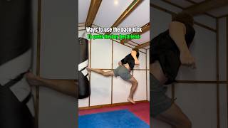 Ways to use the back kick… [upl. by Gae]