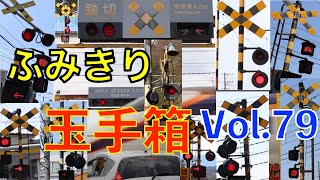 ふみきり玉手箱 Vol79 Japan Railway crossing Special version [upl. by Enymsaj]