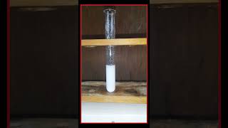 Salt AnalysisSilver Nitrates test Confirmatory Test For chloride ionCl Chandrus Chemistry [upl. by Camden]