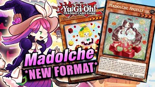 YUGIOH BEST MADOLCHE DECK PROFILE NEW FORMAT INDEPTH PROFILE 2024 [upl. by Mukund]