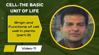 Origin and functions of cell wall in plants Class 11 [upl. by Ydoc31]