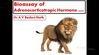 Bioassay of Adrenocorticotropic Hormone [upl. by Giffer]