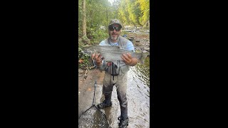 BIG FISH ON SALMON RIVER FLY FISHING PULASKI NY [upl. by Yesiad]