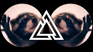 Raffaella Carra x Jaxomy amp Agatino Romero  Pedro Techno Extended Remix TikTok Raccoon Dance Song [upl. by Flynn]