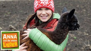 Das Alpaka und das Lama  Tierische Kinderlieder  Anna und die wilden Lieder [upl. by Yrral]