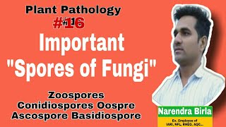 Plant Pathology16।Important Spores of Fungi। Oospre Zygospore Ascospore Basidiospore Zoospores [upl. by Anilag345]