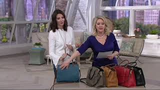 Tignanello Italia Leather Convertible Satchel Handbag  Carson on QVC [upl. by Gilbertson]