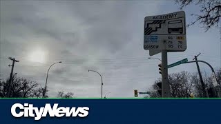 Attempt to pull woman in van from bus stop latest Winnipeg Transit incident [upl. by Lyrpa]