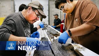 Ancient dugout canoes discovered at the bottom of Lake Mendota in Wisconsin  APTN News [upl. by Ahsinirt]