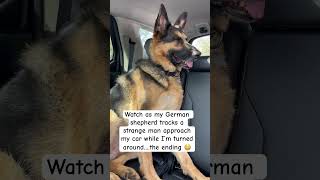 A STRANGE MAN approached women in car with a German shepherd shorts germanshepherd [upl. by Dante]