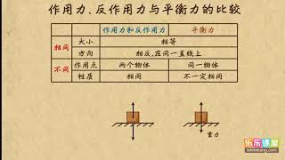 14作用力、反作用力与平衡力的比较 牛顿运动定律（1）高中物理 [upl. by Ayocal]