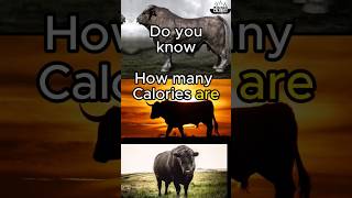 Cow meat Calories  Calories in Beef [upl. by Fevre]