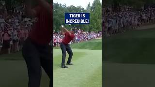 Tiger Woods AMAZING save 😱 [upl. by Krystyna880]