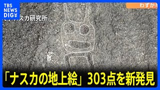 さらに500点近くの新発見の見込みも 「ナスカの地上絵」303点を発見 台地全域の航空写真からAIが絞り込み調査 山形大学・坂井正人教授「こんなにあるとは…」｜TBS NEWS DIG [upl. by Nymassej]