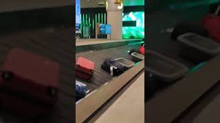 Airport lo luggage belt shortsytshortsairport GnanAnjali Vlogs [upl. by Gardia646]