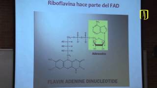 Vitaminas  Carlos Mendivil  Bioquímica Médica [upl. by Acsot217]