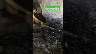 Blackgold panjab col mine ke andar warkar [upl. by Odiug]