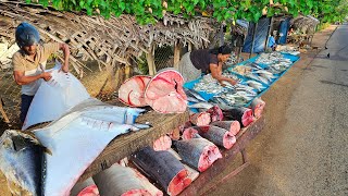 Amazing Special Village Most Satisfying Super Streets Fish markets [upl. by Aracahs620]