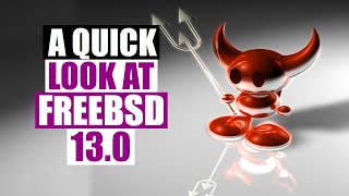 A Quick Installation Of FreeBSD 130 [upl. by Surtimed495]