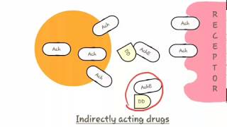 Parasympathomimetic classificationclassification of parasympathomimeticparasympathomimetics [upl. by Lletnohs]