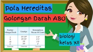 Golongan Darah Manusia Kelas 12  Materi Biologi Pola Hereditas [upl. by Frodina]