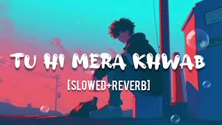 Tu hi mera khwab  slowedreverb  by lofibeats  NEW SONG 2024  chill slowedreverb lofi [upl. by Aihsena438]