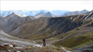 Hunting Dall Sheep Caribou Moose with Arctic Red River Outfitters NWT Canada 8 [upl. by Anauqahc341]