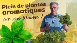 Comment cultiver des plantes aromatiques sur un balcon  Conseils plantation exposition exigences [upl. by Sacul]