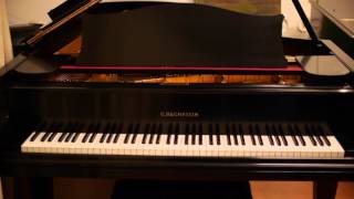 Bechstein Semi Concert Grand Piano for Sale  Used Bechstein Pianos [upl. by Rame]