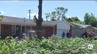 After Livonia tornado families and neighbors band together for cleanup effort [upl. by Annibo]