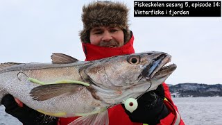 Fiskeskolen sesong 5 episode 14 Vinterfiske i fjorden [upl. by Sivel]