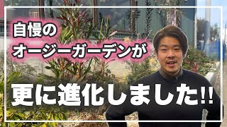 地植えのベストシーズンが到来！カッコよくなり過ぎました‼︎【植栽計画】 [upl. by Dragelin]