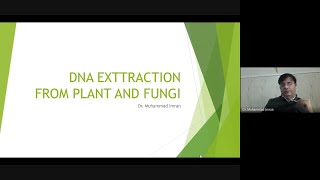 DNA extraction from Plant and Fungi by CTAB method [upl. by Novrej]