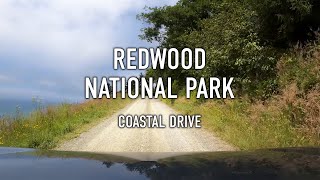 Coastal Drive Scenic Drive in Redwood National Park in 4K [upl. by Lunette]