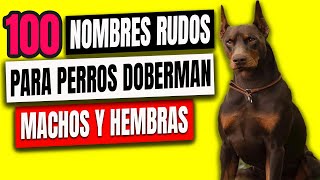 100 INCREIBLES Nombres RUDOS Para Perros Doberman  Machos y Hembras 💪 [upl. by Bethesda97]