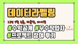 데이터라벨링 부업 23년 7월 수익 공개 및 프로젝트 후기 녹음 바운딩 타이핑 amp 우수작업자 선정 [upl. by Eal971]