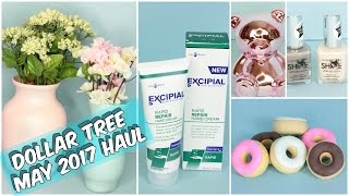 DOLLAR TREE MAY 2017 HAUL [upl. by Faunia]